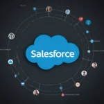 Seamless Integration: Elevating Your Business with WordPress and Salesforce