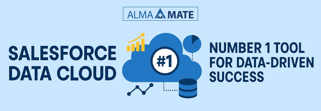 Salesforce Data Cloud- Development Services offered by AlmaMate Info Tech