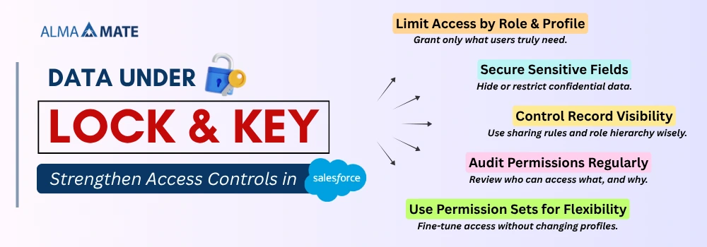 Salesforce Org Health Check