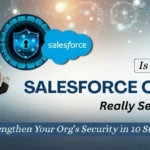 Salesforce Org Health Check