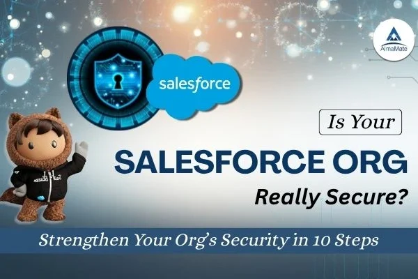 Salesforce Org Health Check