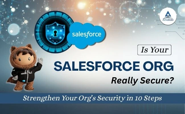 Salesforce Org Health Check